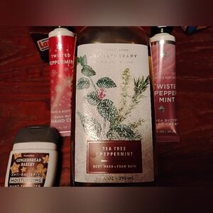 Bath & Body Works Aromatherapy Tea Tree & Peppermint Body Wash - Green and White